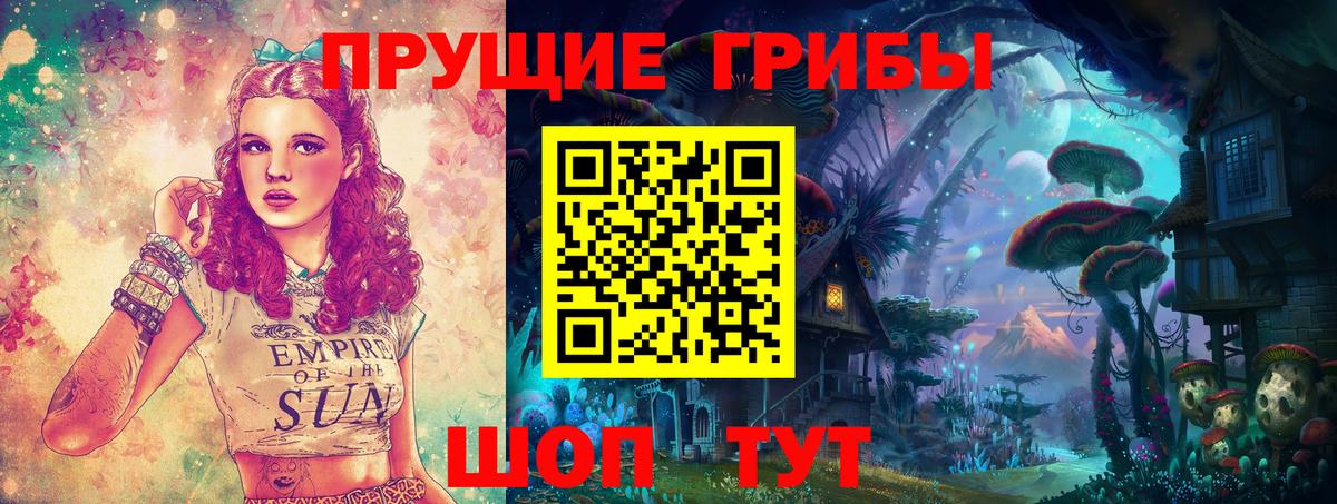 Галлюциногенные грибы прущие грибы  купить  цена  Алексеевка  Вход с VPN 
